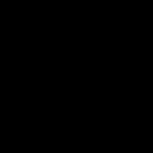 Meet your Posher, Charney